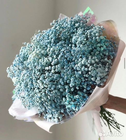 Сухоцвет стабилизированные цветы купить