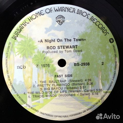 Rod Stewart / A Night On The Town (LP)