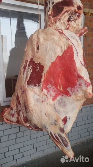 Говядина, мясо говядины, услуги распила