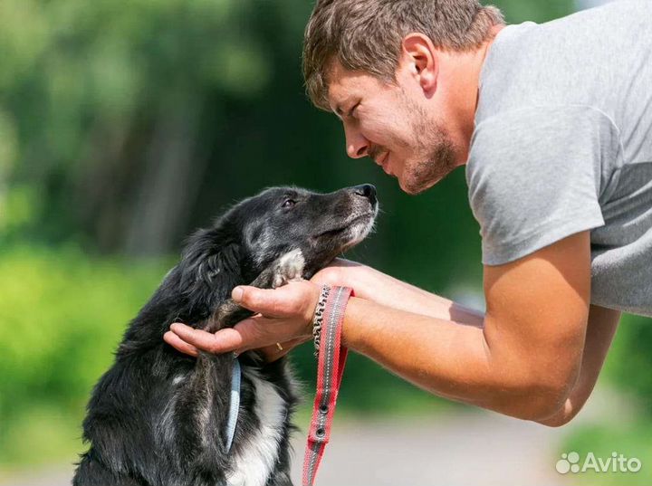 Малыш в беде