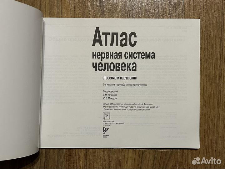 Атлас нервная система человека Астапов Микадзе