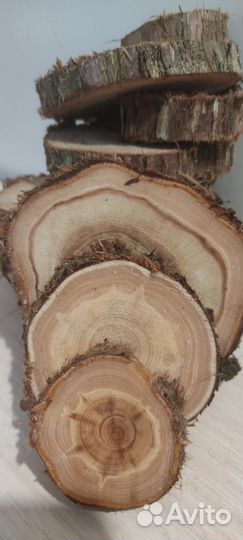 Торцевые спилы