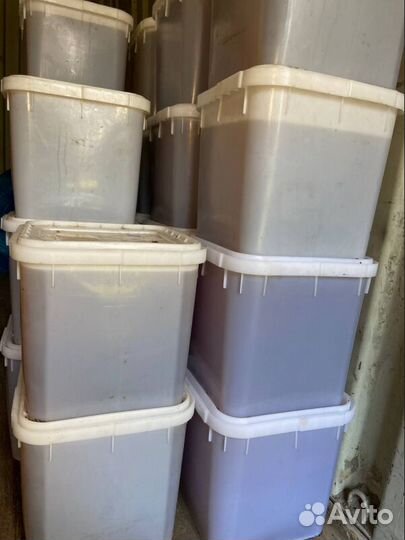 Мед оптом с Алтая от 0.5 Тонн