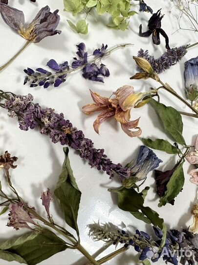 Готовый набор сухоцветов для эпоксидной смолы