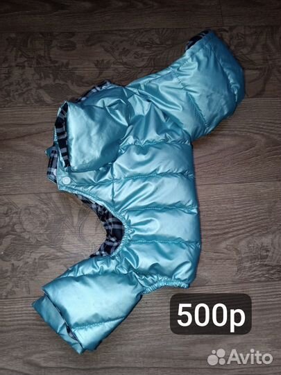 Одежда для маленьких пород собак