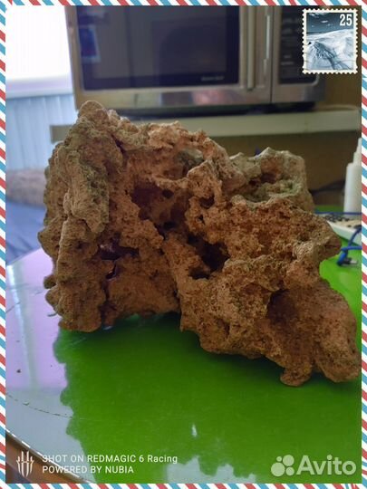 Аквариум, декрация