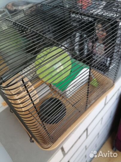 Клетка для грызунов