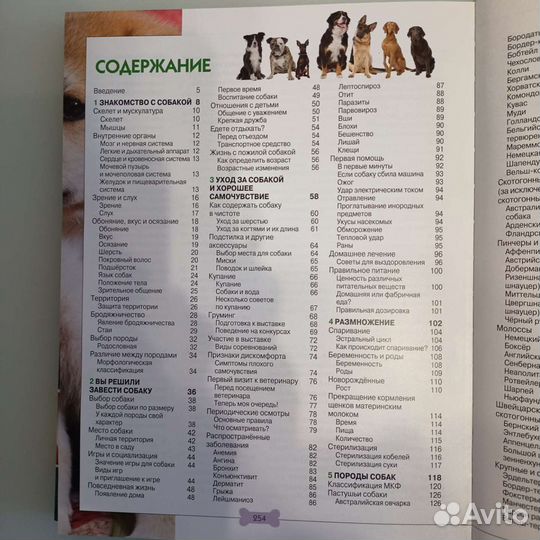 Книга в подарок. Всё о собаках энциклопедия