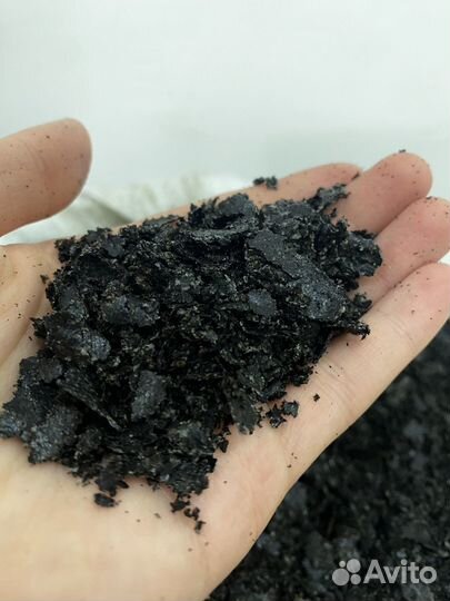 Жмых Черного тмина