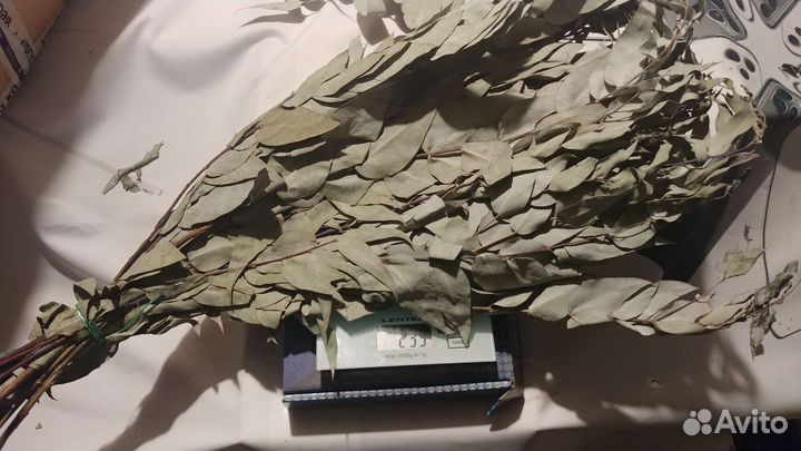 Эвкалиптовый веник в Омске, продажа от 1шт