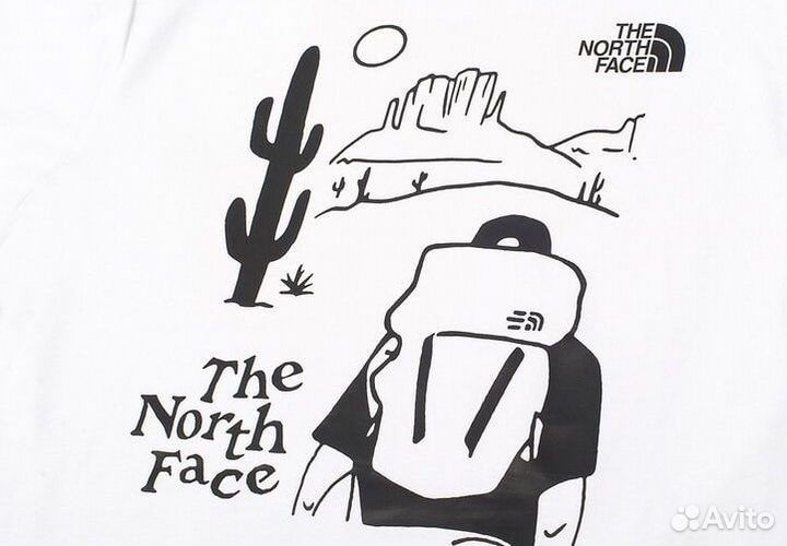 Футболка The North Face в наличии