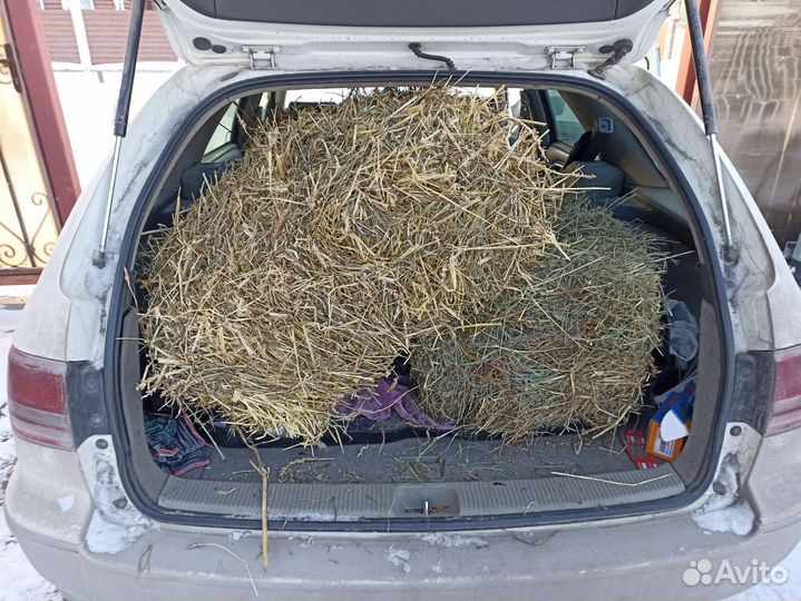 Сено Солома в Брикетах