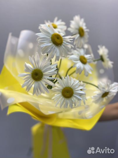 Цветы/букет ромашек