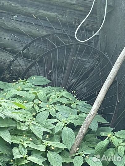 Грабли ворошилки бу