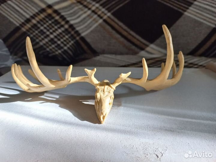 Скульптуры из скульптурного пластилина