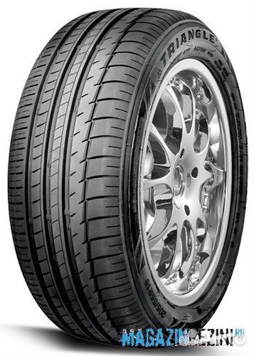 Triangle TH201 255/30 R22 95Y