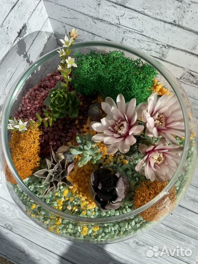 Флорариум с суккулентами