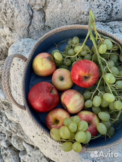 Корзины-поднос для пикника