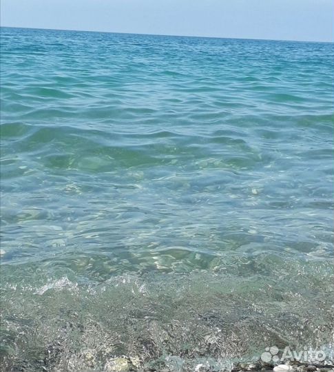 Туры на Черное море