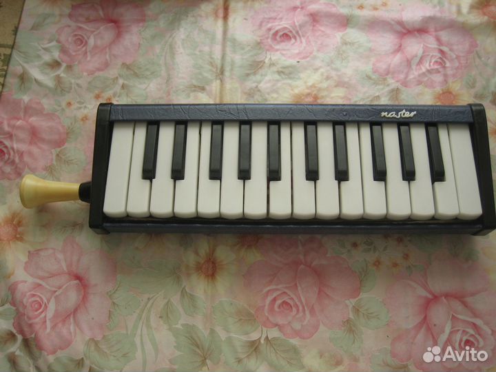 Мелодика ГДР Времен СССР (Там же куплена)