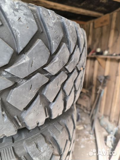 Maxxis bighorn MT 764 31,10.5,15