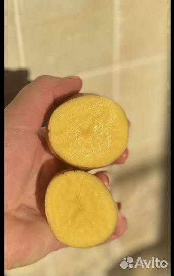 Вкусная домашняя картошка для хранения в зиму