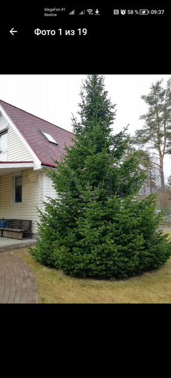 Дом 100 м² на участке 9 сот.