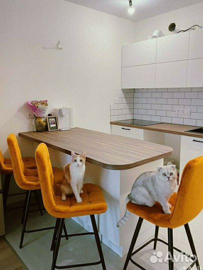 Полубарный стул Фред