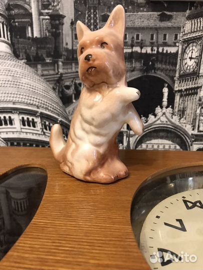 Фарфор собака