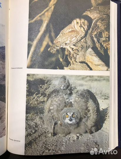 Сборник Глобус книга букинистика 1990