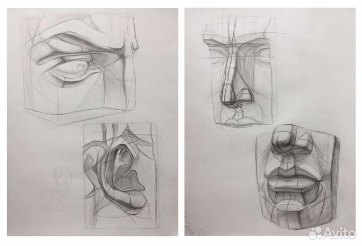 Репетитор по рисованию онлайн