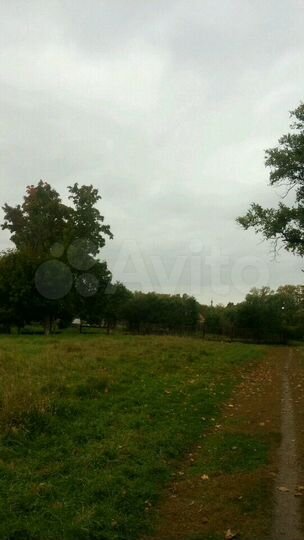 Участок 20 сот. (ИЖС)