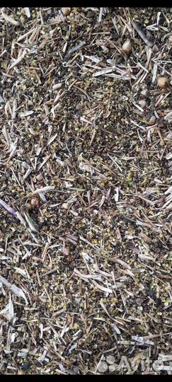 Отходы рапса