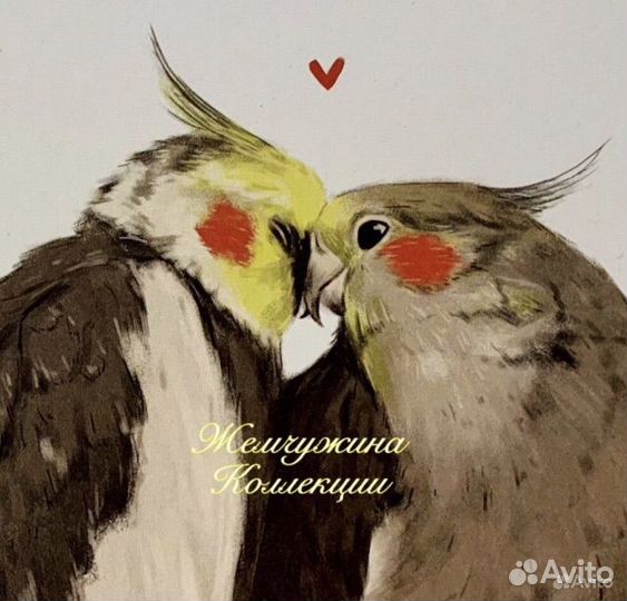 Цыплята суточные домашние, деревенские