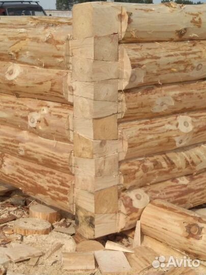 Срубы домов и бань, заказ под ваш размер