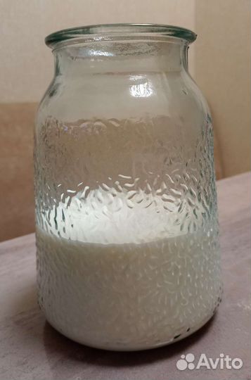 Тибетский молочный гриб, Индийский морской рис