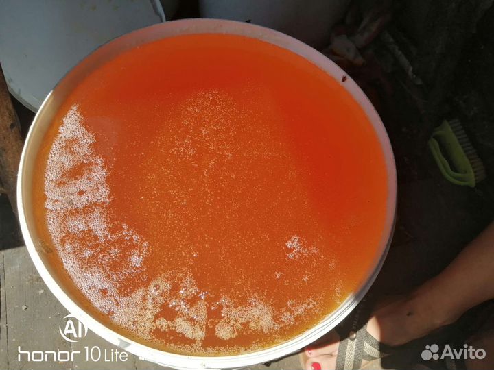 Мед подсолнечный