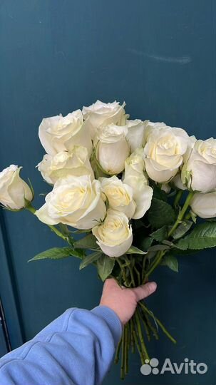 Розы цветы доставка 24 7