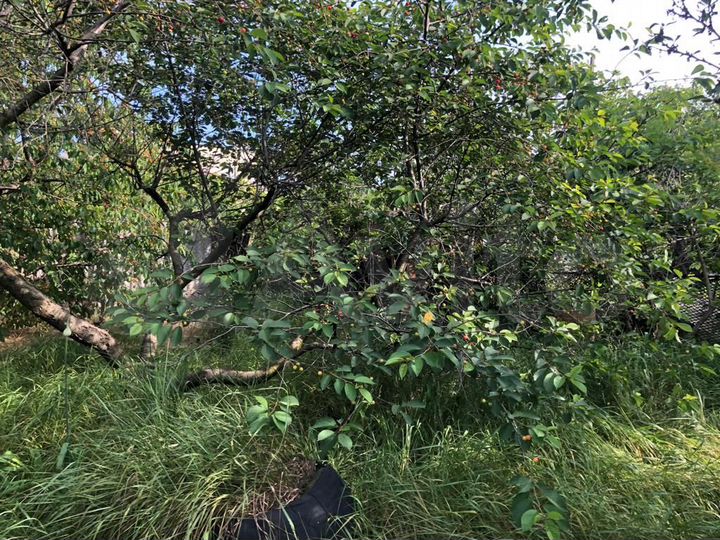 Участок 3,5 сот. (СНТ, ДНП)