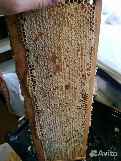 Мëд майский 2023 г