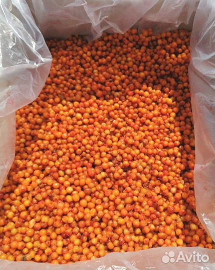 Облепиха замороженная