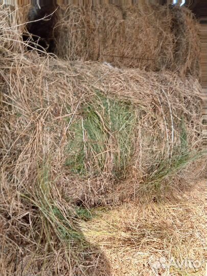 Сено в рулонах