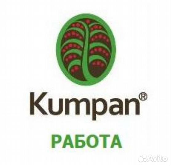 Менеджер кафе/ресторана