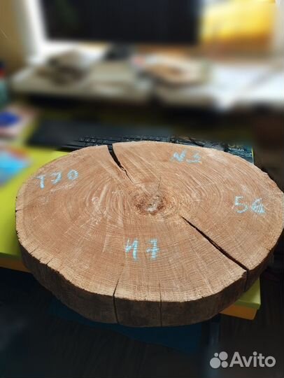 Спил слэб карагач дерево