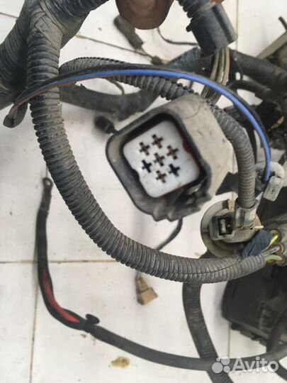 Проводка (коса) Focus I 1998-2004