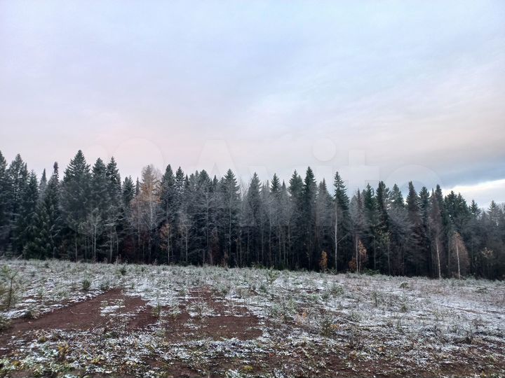 Участок 26 сот. (СНТ, ДНП)