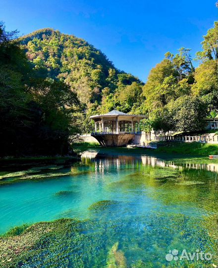 Экскурсия в Абхазию минювен, джип тур