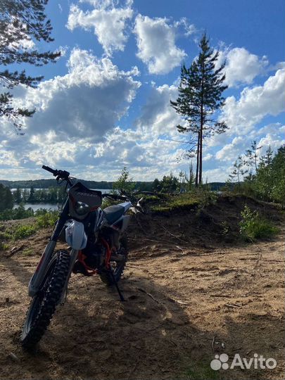 Продам progasi palma 300