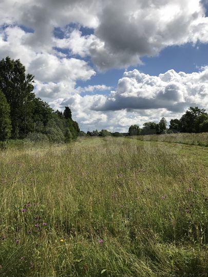 Дом 100 м² на участке 60 сот.