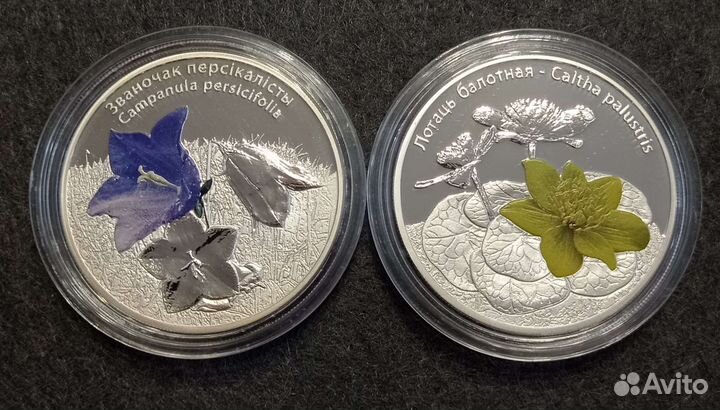 Монеты Беларусь 2014 Калужница Колокольчик Серебро